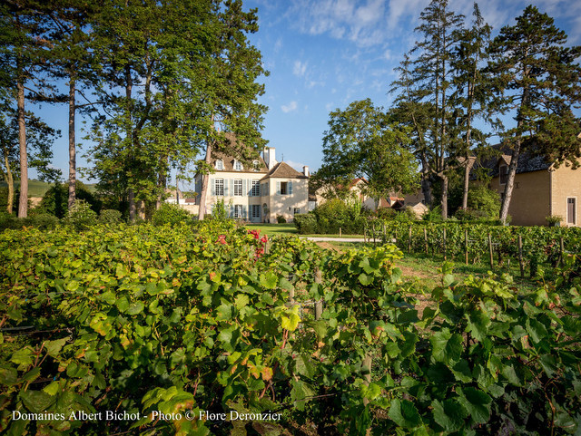 Bichot Burgundy Masterclass