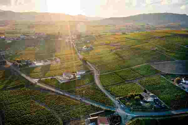 Beautiful Beaujolais!