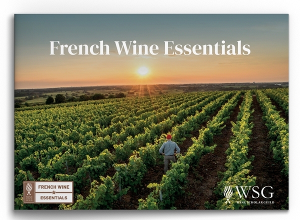 French Wine Essentials