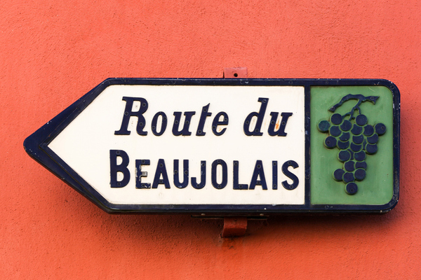 The Beaujolais Experience 
