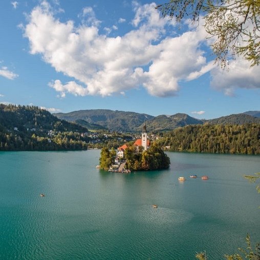 Wines of Slovenia Masterclass