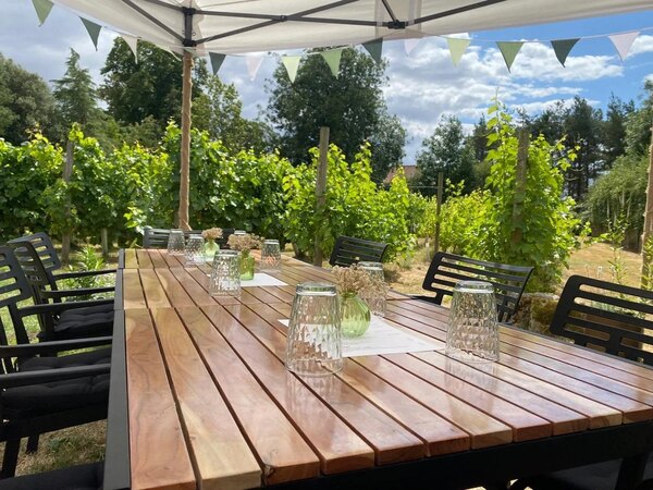 Wines of Yorkshire Wine Tasting at Towthorpe Vineyard - INFO ONLY