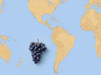 World of Wine (Rest of World) - Four Week Package              