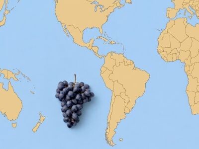 World of Wine (Rest of World) - Four Week Package               