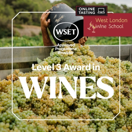 ONLINE COURSE: WSET Level 3 Award in Wines 