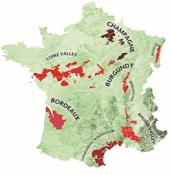  A Deeper Dive into French wine      