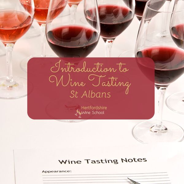 Introduction to Wine Evening - St Albans