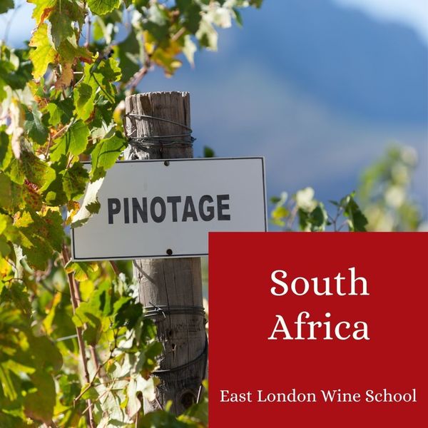 Wines of South Africa