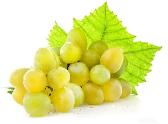 Online ABC - A journey through the A-Z of grapes