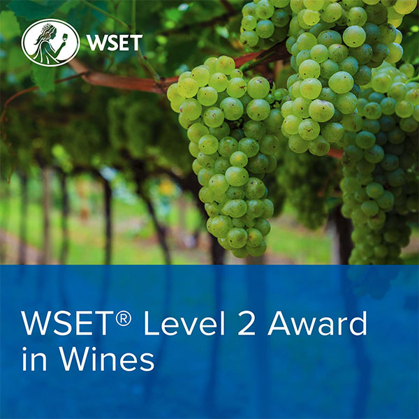 WSET Award In Wines Level 2 Inc Exam 2024 