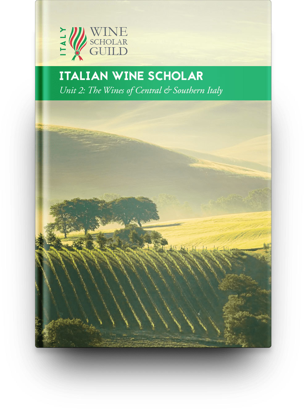  NEW Italian Wine Scholar Unit 1 (The North)    