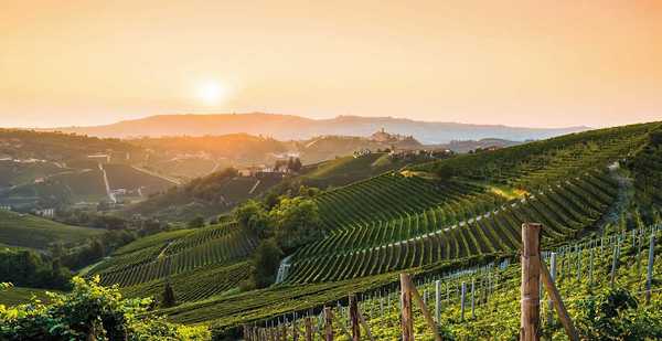 Wine Holiday - Galicia