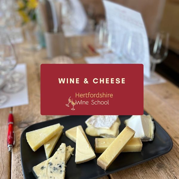 Wine & Cheese Pairing 